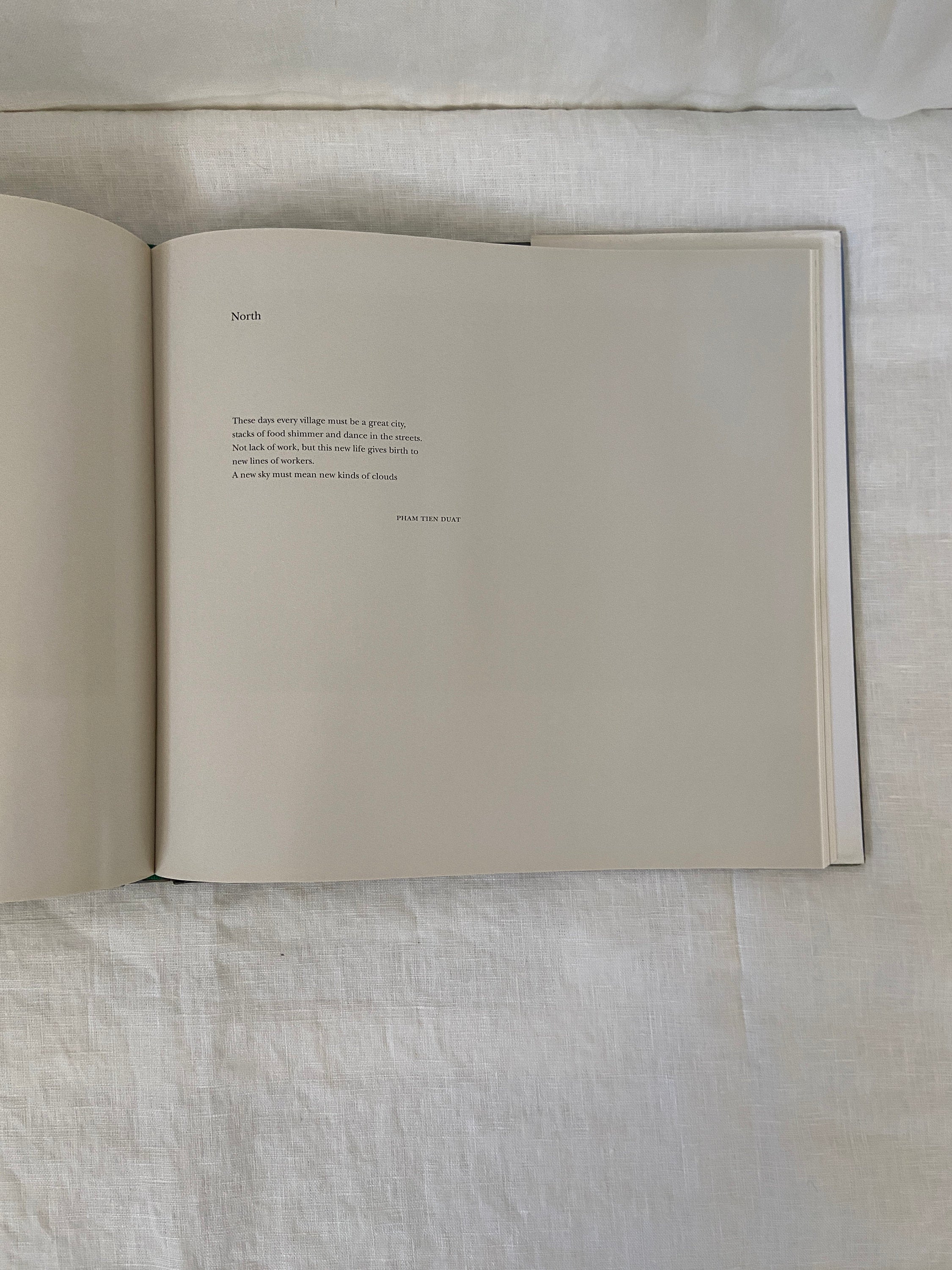 Lost in Vietnam Hardcover Book