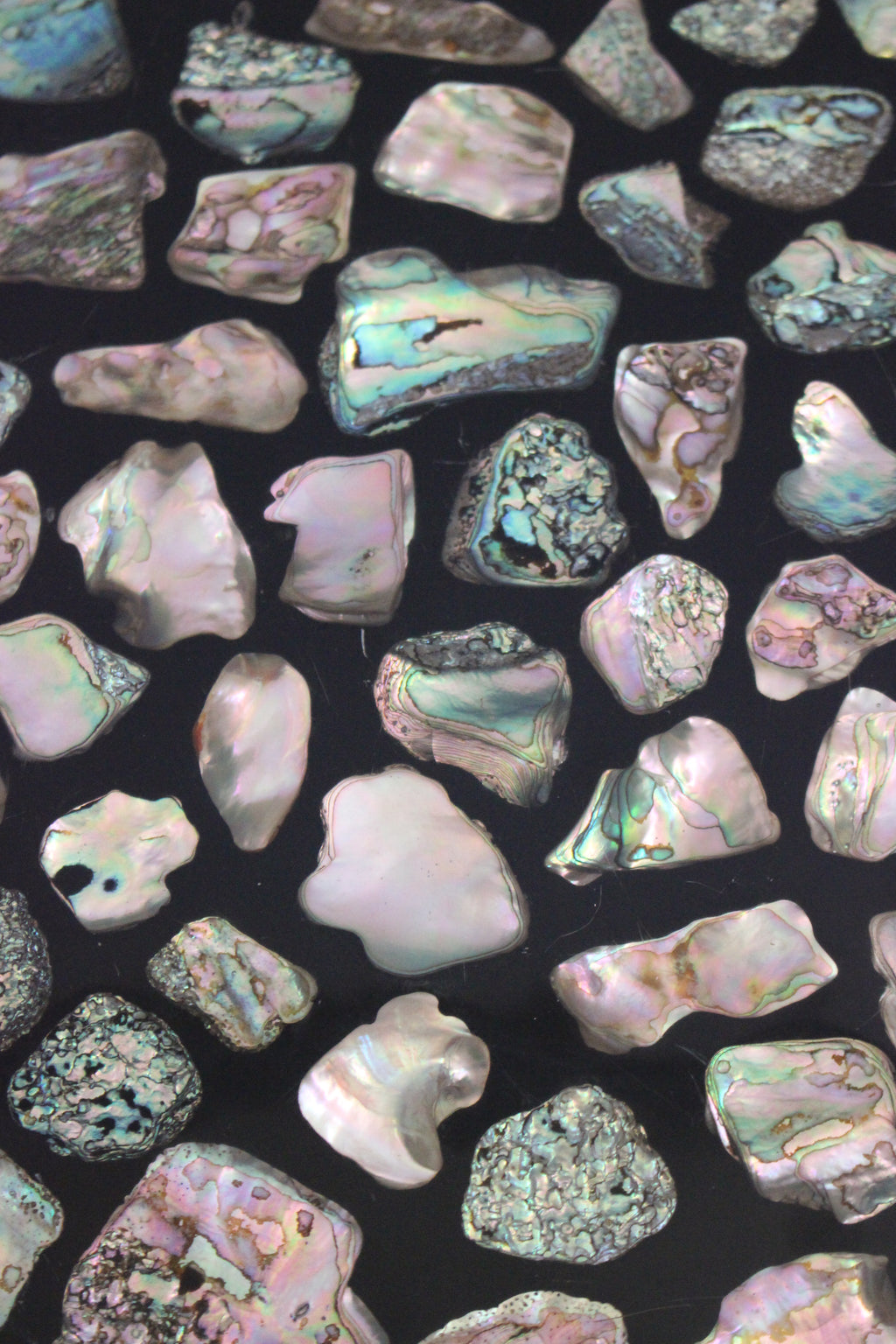 MCM Abalone Shell Tray