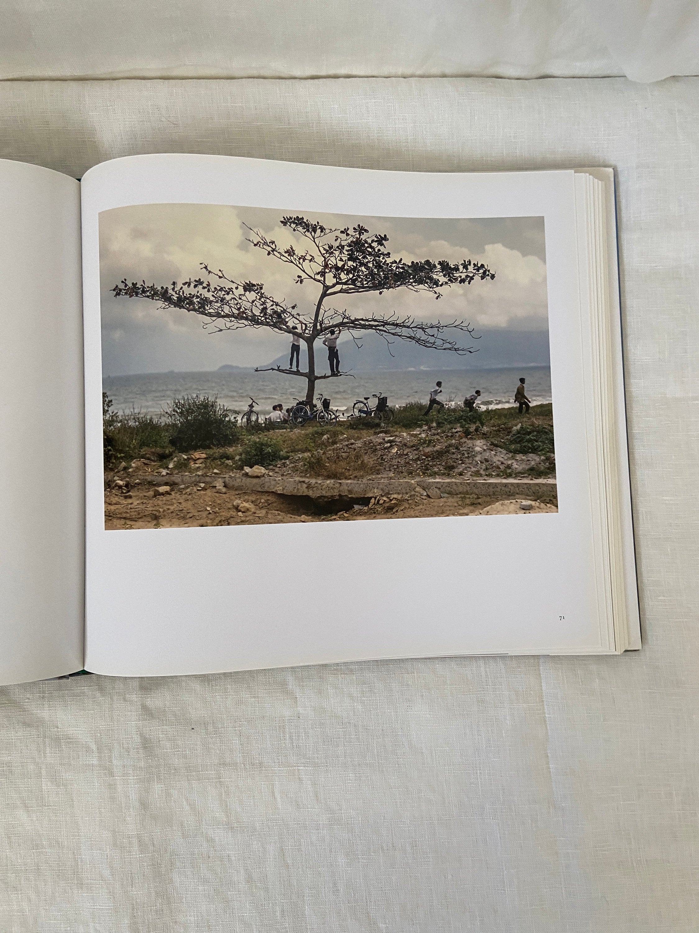 Lost in Vietnam Hardcover Book