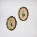 Pair of Oval Botanical Prints